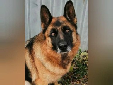 � ������ ���������� ����� 9-������ �������� ������� � ��� ������