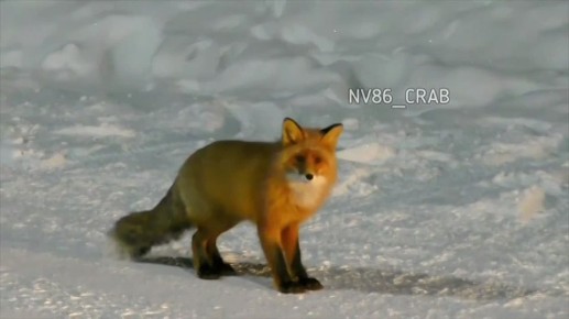 � ���� ��� ������ �������� �������� �� ������ � ����������