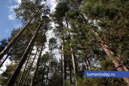 73 ���������� ������ ������������� � ����� ��������� ������� � 2025 ����