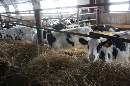 � ������� ���� � ���������������� ���������� ��������� ������� ��������� �� ���� ����� ������� ����� �����