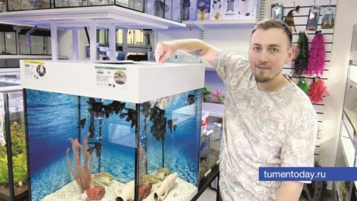 � ����� ������ �� ������ �������� �����������