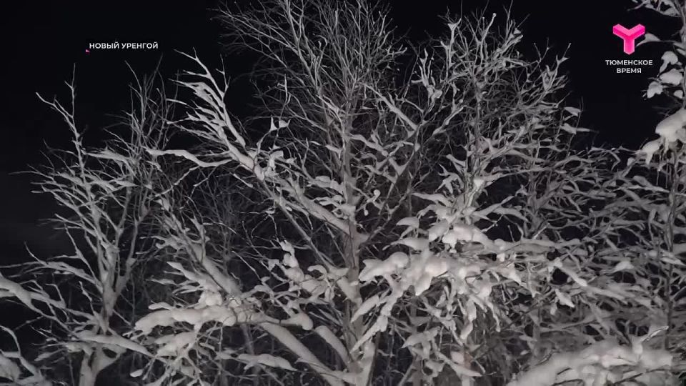 �������� ��������. ��� �� �������, ����� �� ����� ����������� ���� 30 ��������? ���� ������� � ������ ������� � ��������� ���������� ��������, ��� ����� ��������� �������� ���! ���������� ������