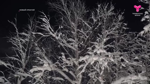 �������� ��������. ��� �� �������, ����� �� ����� ����������� ���� 30 ��������? ���� ������� � ������ ������� � ��������� ���������� ��������, ��� ����� ��������� �������� ���! ���������� ������