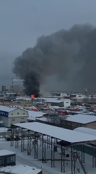 � ������ �� ����� ������� �������� � ��������