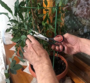 ������ ��������� ���������