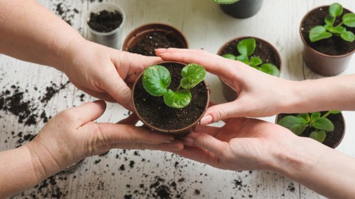 �������� ���� ������� ������ ���� ����-����� ��� ������: ������������� � �����������