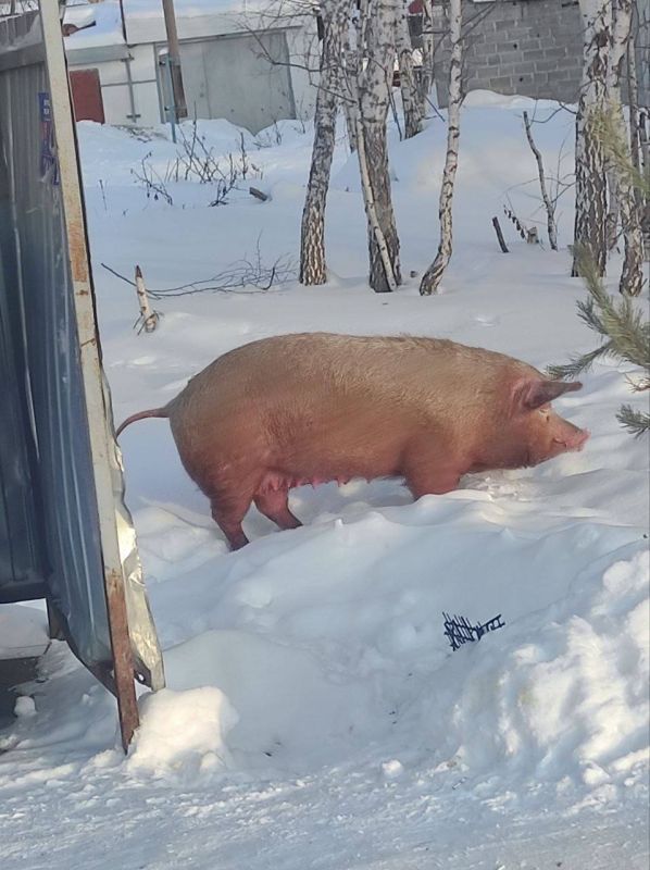 �� ������ ����������: ������ � ������������ ����������� �� �������