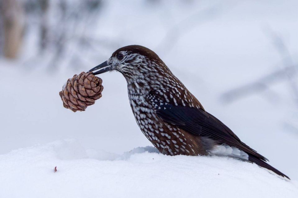 �������� ���������� � ������