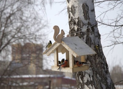 �������� ����� ����������� �������� � ���������