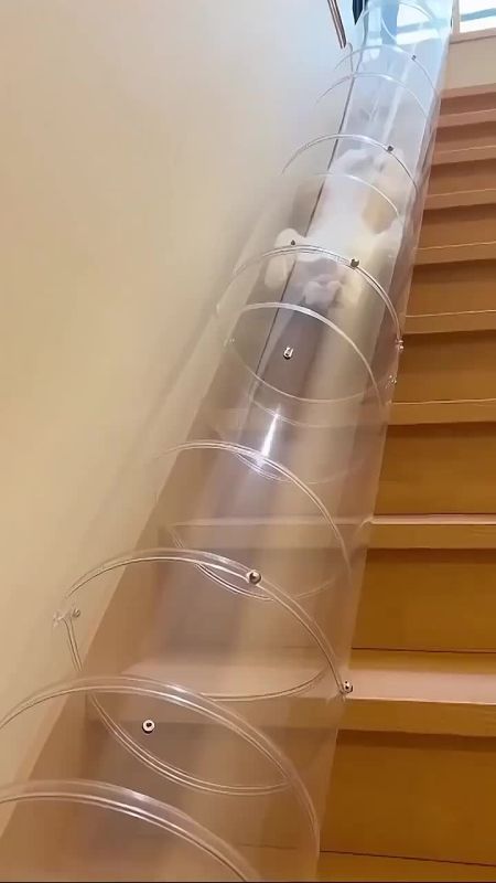 ������ �����. ����������� �������� � �����, ��������� �������� �����: ����������