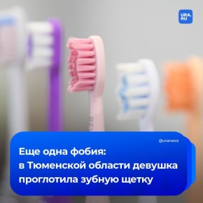 19-������ ������� �������� ���������� ����� �� ����� ������ �����