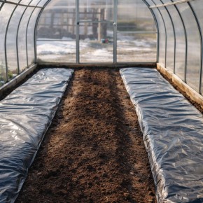 ������� ��� ����������� ������ ���������� ����� ��� �������