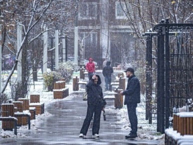 � ������ ������� ����� ������� ��� ����������: ����������� ���� � ������ ������