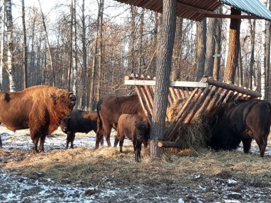 ������������ ������ ��������� ��������� � ����� �� ����: ������������� ������� ���������