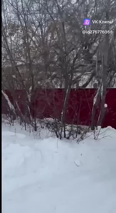 "� ����� �������� ���": � ���������� ��������� ���, ��������� ��������� 27 ���, �������� ������������ �����