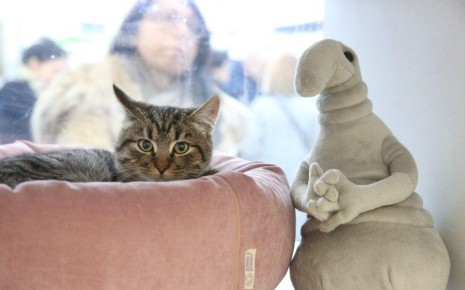 ������ ��� ������ ������: ����������� �������