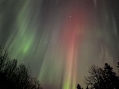 ������� �� �������, 21 ������: