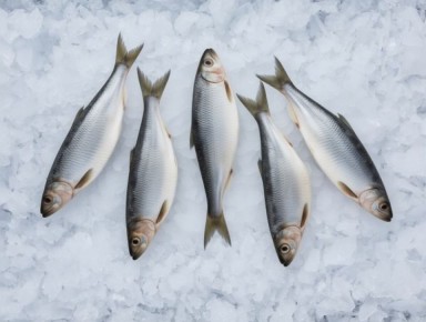 ������ ��������� ����� ������� ���� �� ���� �� ���� ��������� ������