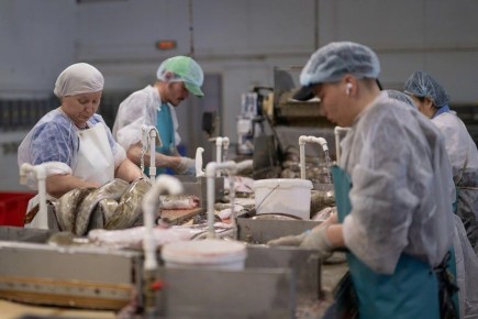 �� ����� � ������ �������� ���� ��������� ������ �������� ��� �����������, ������������������ �� ����������