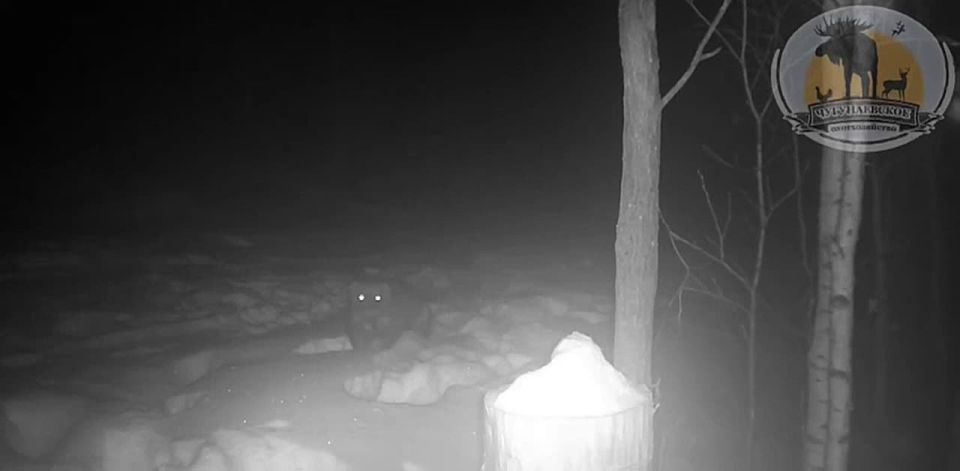 ������������� �������� ������������� �� ������ ����������� � ��������� ����