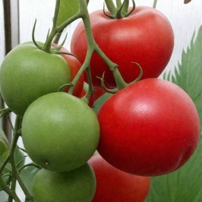 ����� ��������: ������ � ��������� ���� ��� ��������� ������