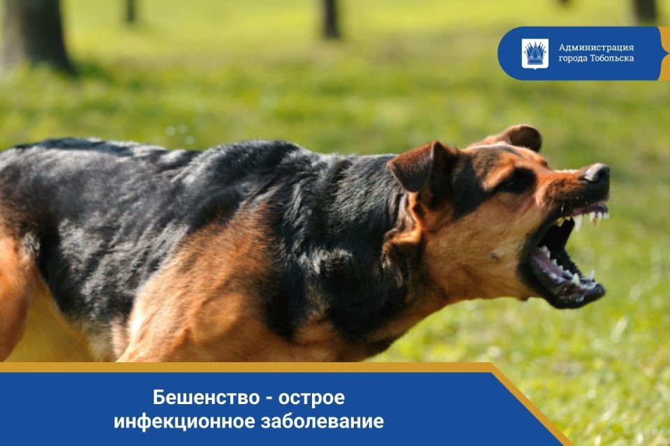 ��������� - ������ ������������ �����������, ����� ��� �������� � ��������