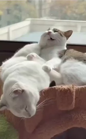 ���� ��������!. ��������� ���� ����������