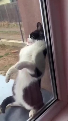 Доброе утро! Проснулись уже?)