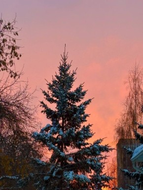 Красивый вечер. Фото: Мэрия МегаТюмень