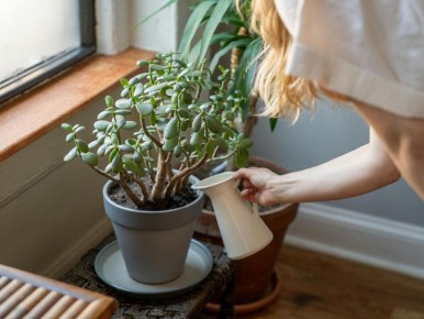 ��������� ������� ��������� ������ ����������� ������� ��������