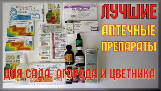 Как аптечные средства могут преобразить ваш сад и огород