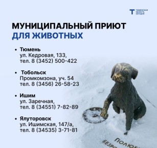 ��� ������ ��������� �������� �������� ������� ������?