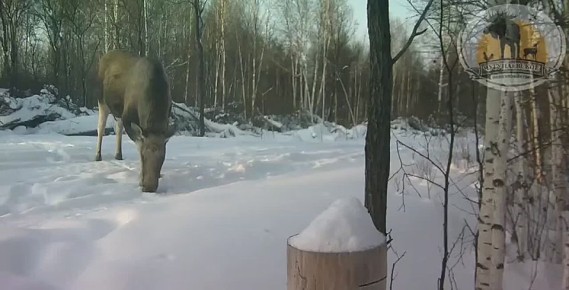 �������. ����� ��� ��������� ���� ��������� ���! �����: ������������� ������������ ����������