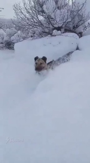 ������ �� �������� �������� �� ���������� �����