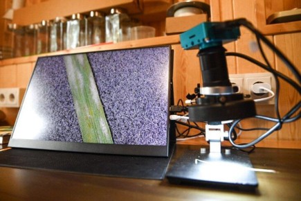 ��������� ����������� ������ � ����������� �������� �������� �������� ������� ���������� ����������� ��������