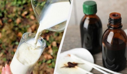 ��� ������ �������� ������ ���� ��� �����������: ������� ����������