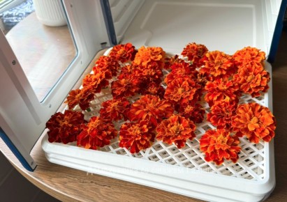 ��� ��������� �������� � ������� ���������: ������� ����� � �������������