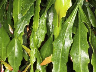 �������� � ����: ����� ������� ��� ������� ����