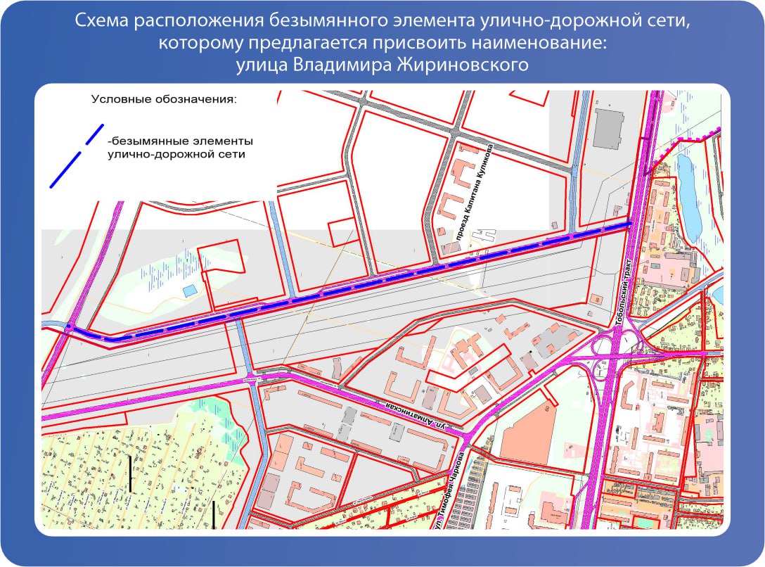 Улица Владимира Жириновского – назовем?