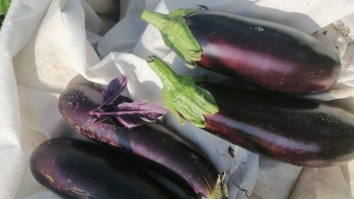 ��� � ��������� ������ ����������� ������ � ������� ��������� �� ���� ������� ���������