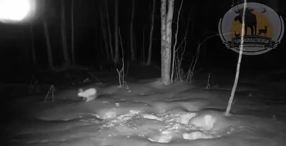 ������� ������ ������ � ������� ����� ������, ��� ��� �������� ������ �� ���� � ������������ ������