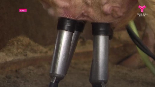 �� ����� ������������������ ������� ������ �� �������� ��������