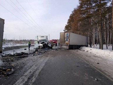 �������� ����������� ������ �� ������ ������-���������-������������