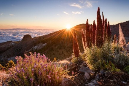 ��������� �� �����: ��� �������� ���������� ����� � �������� ����� �����