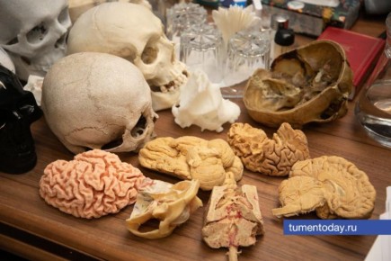 ������� �� �������, 28 ������: