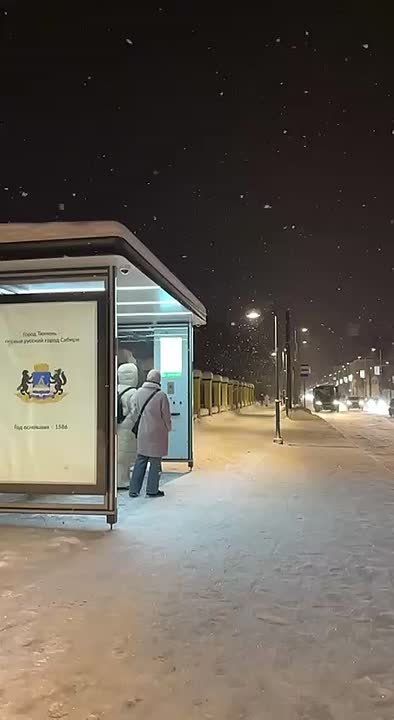 А снег не знал и падал…. Атмосферная зима в Тюмени Видео: мэрия МегаТюмень