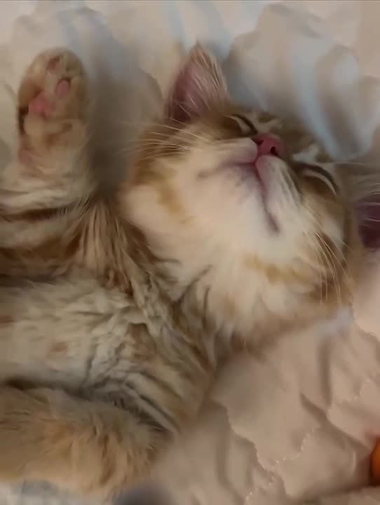 спокойной ночи. МегаТюмень