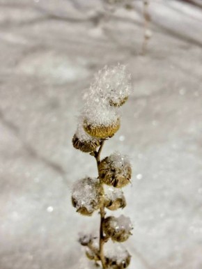 Доброго и воздушно-солнечно-СНежного вам