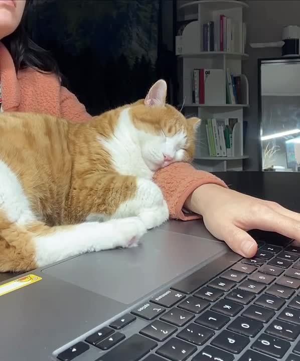 Добрались до пятницы). Еще чуть-чуть и отоспимся на неделю вперед! МегаТюмень