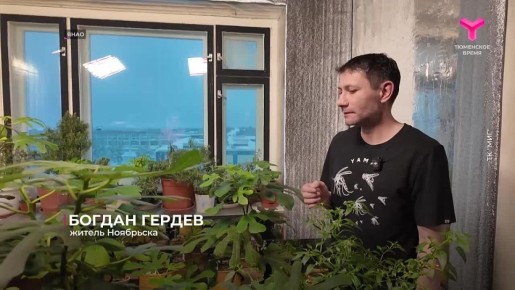 ������ ��������� ���������� � �������� �����